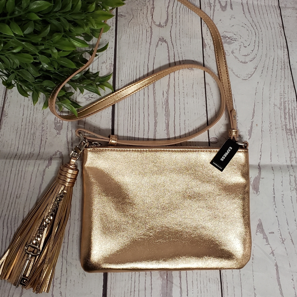 NWT Express Purse